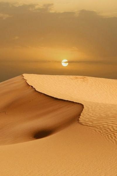 Egypt Desert Safari