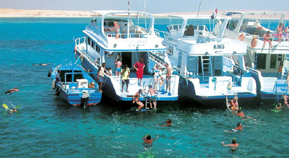 Snorkeling excursion from safaga port